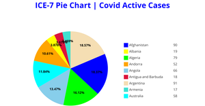 ICE-7 Pie Chart
