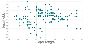 Scatter plot iris dataset