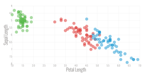 Scatter Plot - Iris