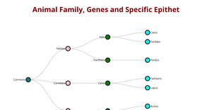 Fork of Tree Example