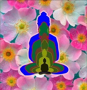 6 buddhas