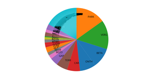 Pie chart RDW filter op andere dataset