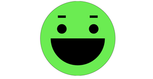 Face with animated eyebrows and mouth