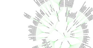 Fork of RADIAL network diagram