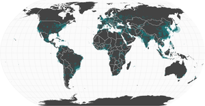 Sized Points on a Map