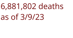 Summarizing Coronavirus Data