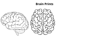 Fork of InfoVis Master Task - Brain Prints