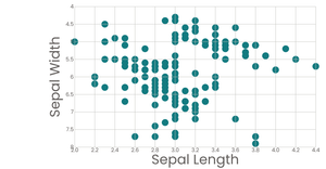 Scatter Plot