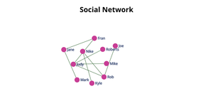 ICE-8: Social Network