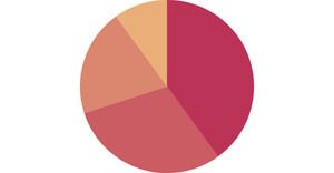 Fork of Pie chart in React & D3 - 1st attempt