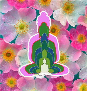 6 Buddhas