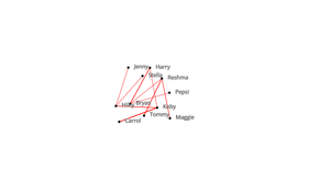 ICE8-Network Graph