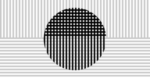 Fork of Sol LeWitt Reproduction