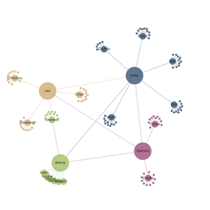 D3 Force Directed Graph