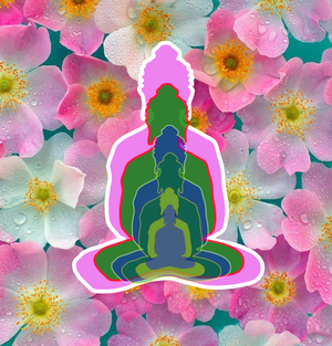 6 Buddhas