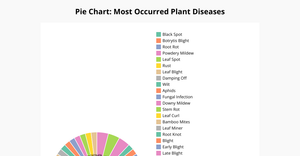  pie chart latha bemanadham