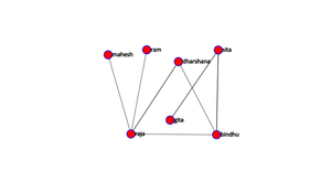 Network Graph