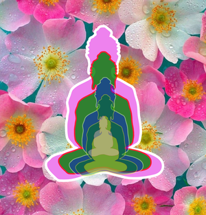 5buddha