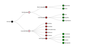 ICE8 Animal Tree Network