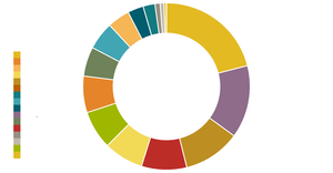 Visualising SDG budget Nepal