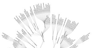 M.Bostock Radial Tidy Tree Example