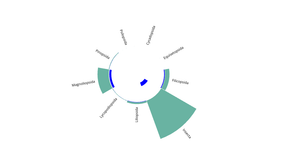 Double circular barplot