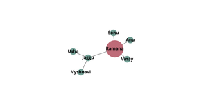 ICE 8 Network Graph