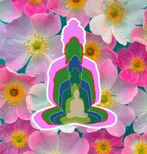 5buddha