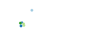 Force Directed Graph - Simple