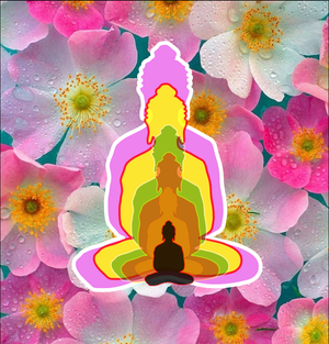 6 Buddhas
