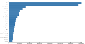 Making a Bar Chart