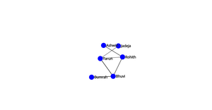 Network Graph