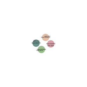 Organization graph diagram - visualization