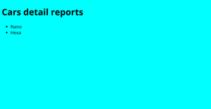 Car Report
