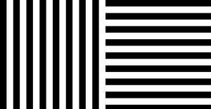 LeWitt