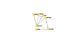 Network Graph
