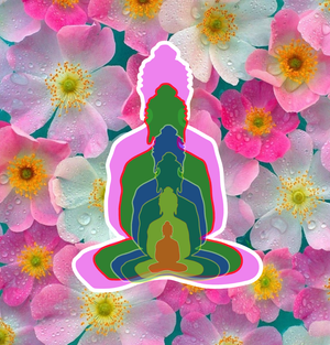 6budha