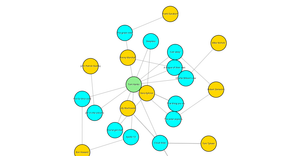 Force Network