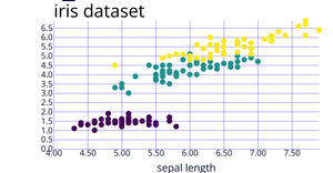 iris dataset