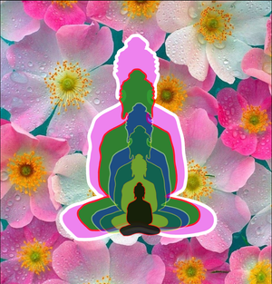 6 Buddhas - Question3