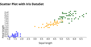 Scatter Plot
