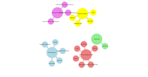 Organisation Network Graph