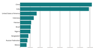 Stylized bar chart xizhi