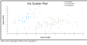 Scatter Plot