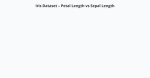  Raga Scatter Plot with Shape