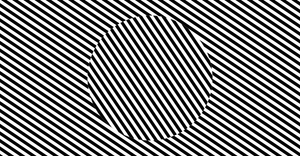 Sol Levitt Animated
