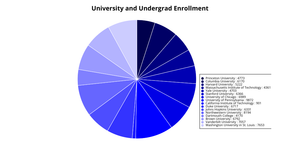 Pie Chart