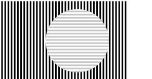 Fork of SVG Fundamental