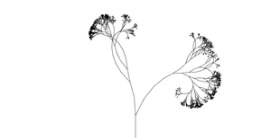 Tree Fractal with Randomness