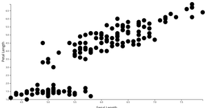 Scatter Plot